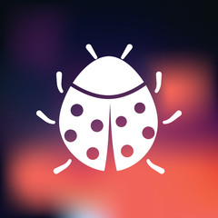 Ladybug icon