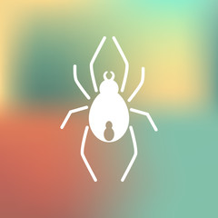 Spider icon