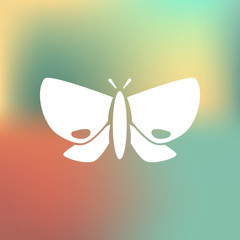 Butterfly icon