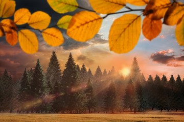 Fototapeta premium Composite image of autumn leaves