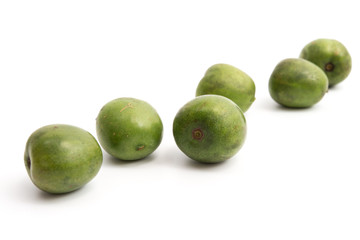Babykiwi
