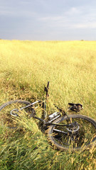 Naklejka premium Pausa in campo di grano