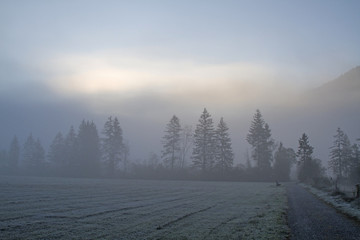 Morgennebel