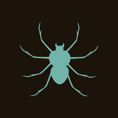 Spider icon