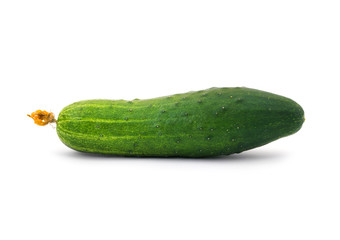 cucumber on white