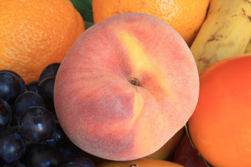 Pêche