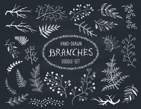 Hand drawn branches collection. Set of doodle branches on chalkboard. Floral decorative elements for postcard and invitation design.