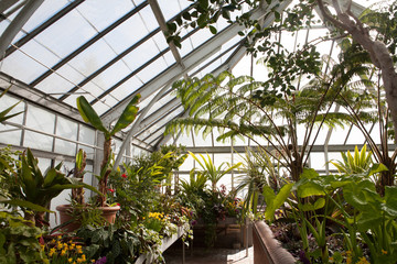 a green house that holds different types of plants, interior