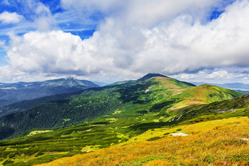 Fototapeta premium summer landscape