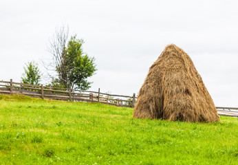 sheaves of hay in the Carpathians
