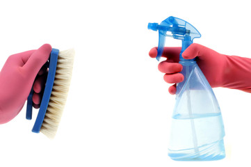 Brosse et vaporisateur en main