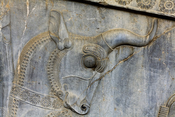 Detail of a relief of the eastern stairs of the Apadana at Perse