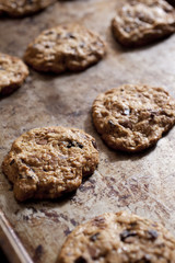 Freshly Baked Cookies