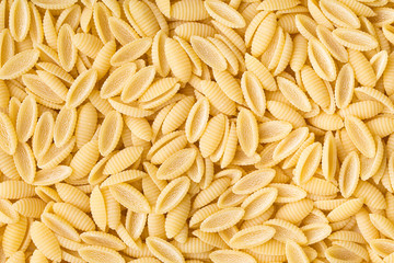 uncooked italian pasta