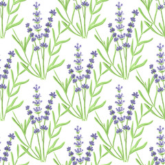 Lavender. Seamless pattern with flowers. Hand-drawn original