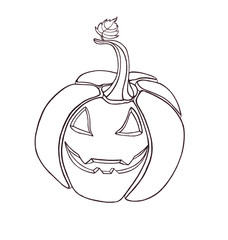 Pumpkin vegetable. drawn black pen. Artwork