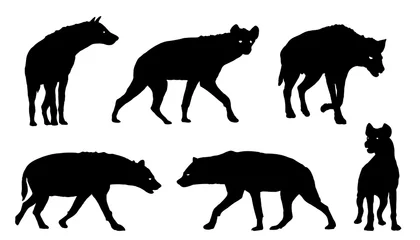 Tuinposter hyena silhouettes © jan stopka