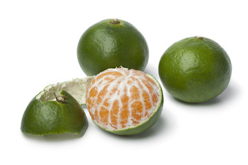 Green satsuma fruit