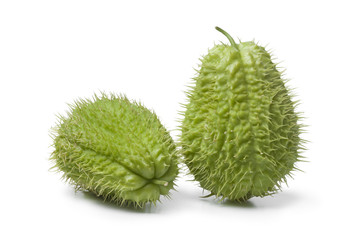 Whole fresh spined chayote fruit