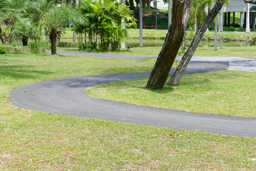 walkway and tree in the park