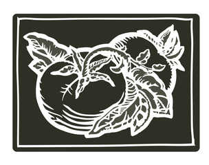 Tomatoes woodcut