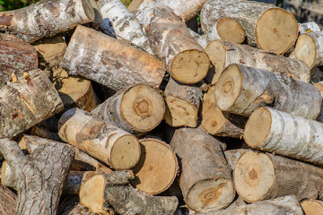 Closeup of an chopped firewood, scattered pile in sunny day. Sha