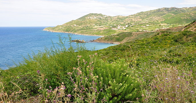 algerie littoral