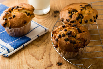 chocolate chip muffins