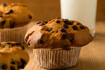 chocolate chip muffins