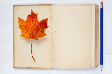 Autumn concept with book and fall leaf