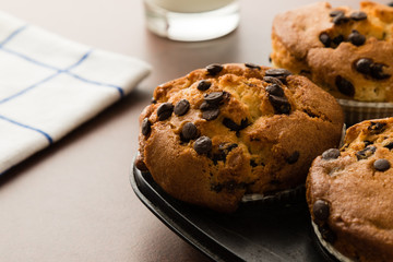 chocolate chip muffins in pan