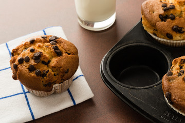 chocolate chip muffins in pan