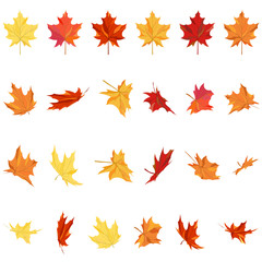 Maple Leaves Set