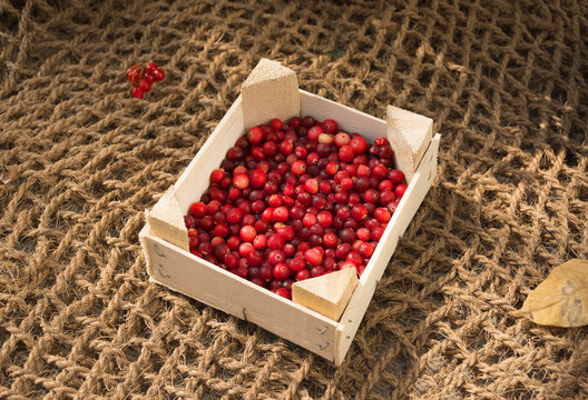 Ripe red cranberries in a box on a background of burlap