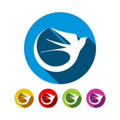 Swallow Bird Icons