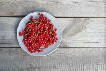 red currant on plate