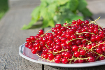 red currant on plate