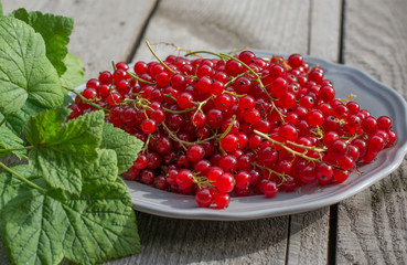 red currant on plate