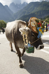 Falcade, Belluno, Italy - September 26, 2015: Se Desmonteghea a great party in Falcade for the...