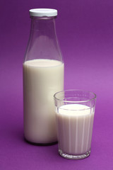 Milk products on color background