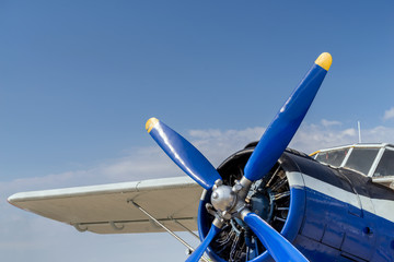 Screw airplane