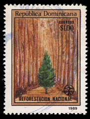 Dominican Republic postage stamp showing a tree in a forest for the National reforestation campaign