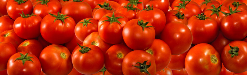  many ripe tomatoes closeup