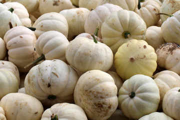 Pumpkins / Multicolored decorative pumpkins on autumn festival