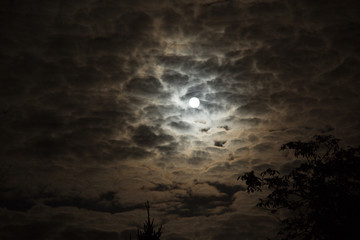 księżyc w pełni © lensfoto
