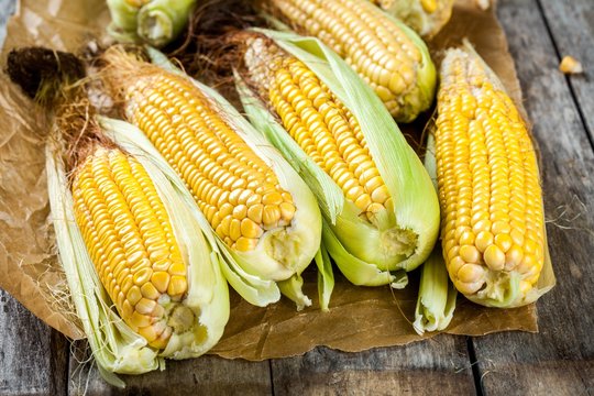 organic sweet corn