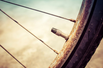 vintage old bicycle wheel