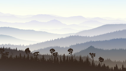 Horizontal illustration of morning misty in forest hills.