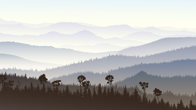 Horizontal illustration of morning misty in forest hills. © vertyr