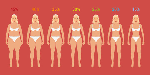 Stages of woman slim with fat percent